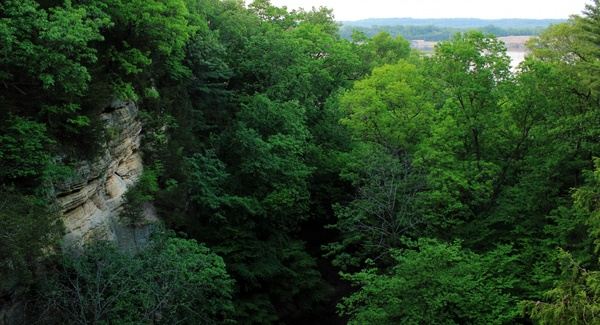 canyon view at starved rock state park illinois