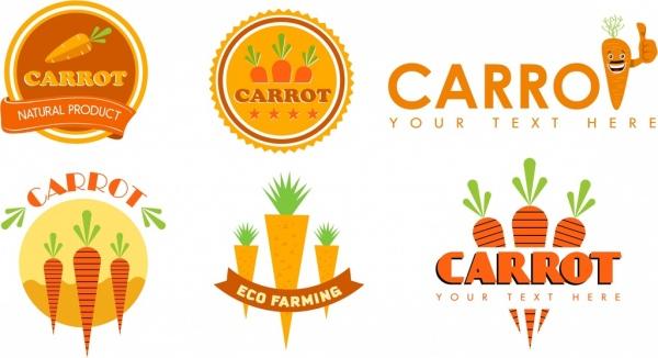 carrot identity sets logotype seal icons isolation
