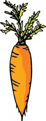 carrot vector