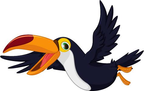 cartoon toucan bird vector