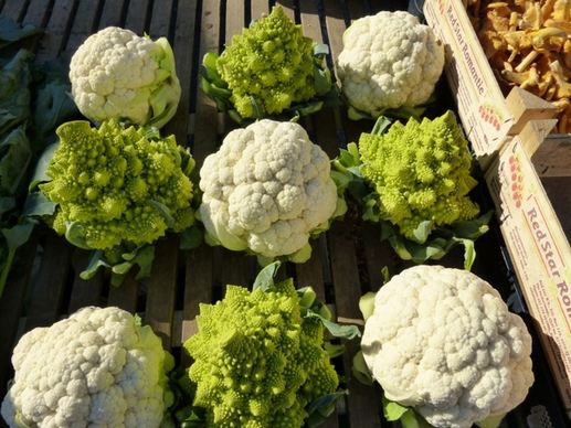 cauliflower kohl cabbage