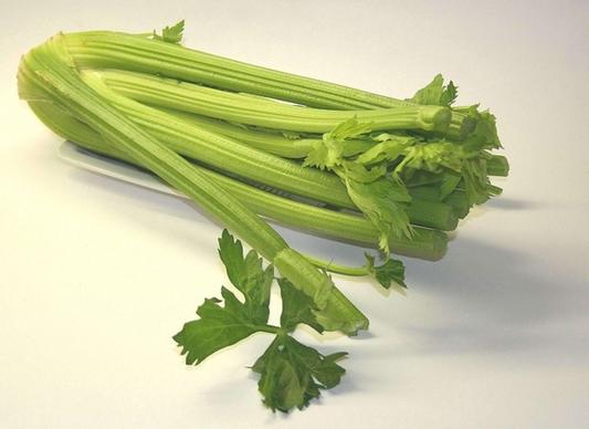 celery vegetables healthy