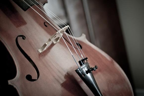 cello detail instrument