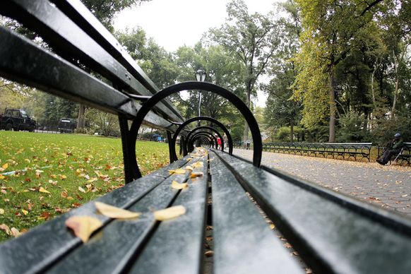 central park benches