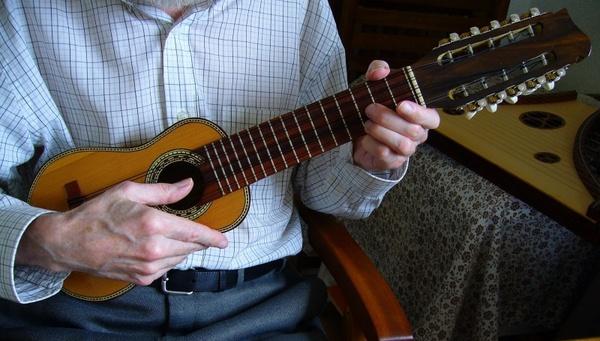 charango andean stringed instrument