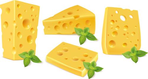 cheese with green leaf design vector