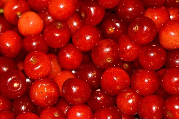 cherries food season