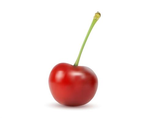 red cherry realistic vector illustration on white background