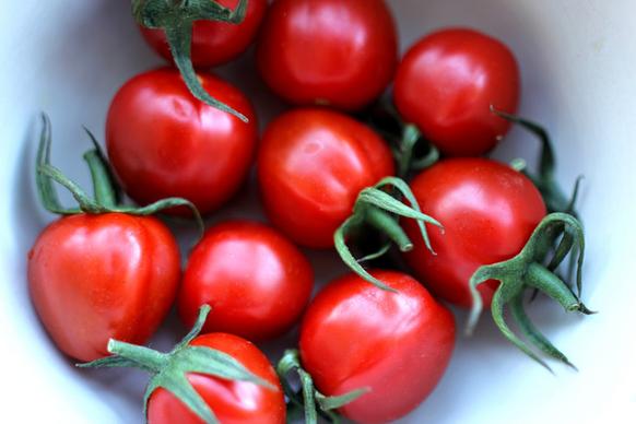 cherry tomatoes cherrytomaten