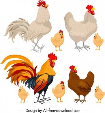 chicken icons colored cartoon design