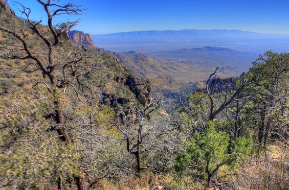 chisos mountains in the distance at big bend national park texas