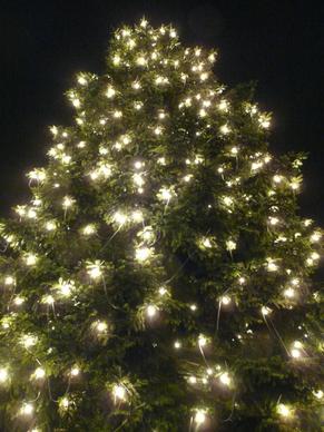 christmas christmas tree lichterkette