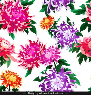 chrysanthemum flora background bright colorful decor blooming sketch