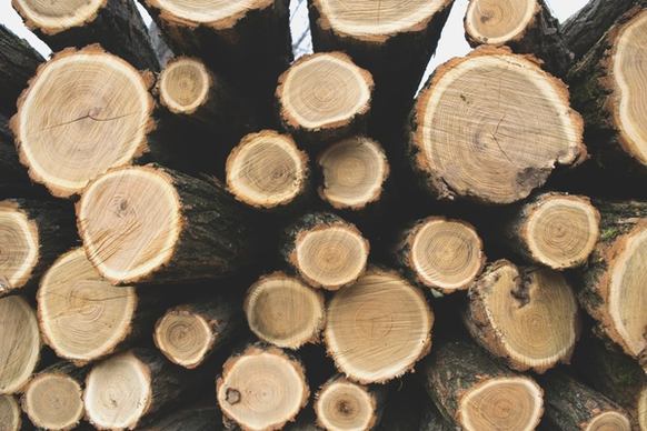 circle log lumber stack wood