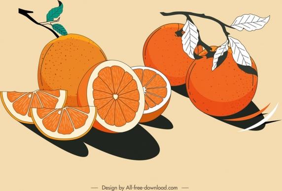 citrus fruits painting colored retro design
