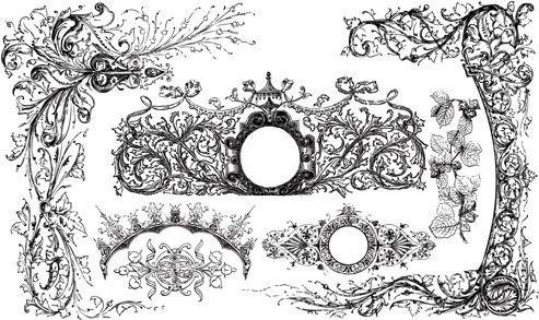 classical ornaments elements vector