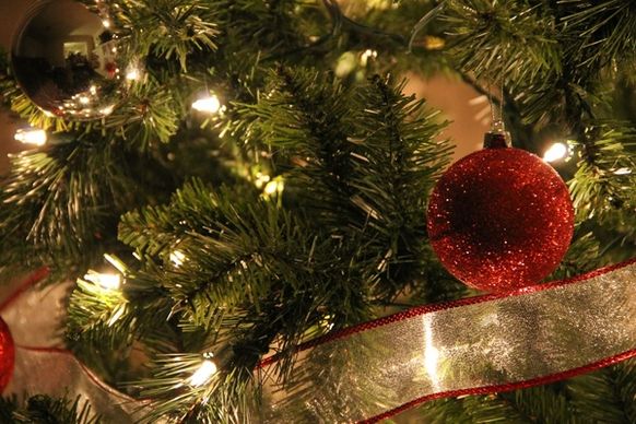 close up of christmas tree with red ball ornament