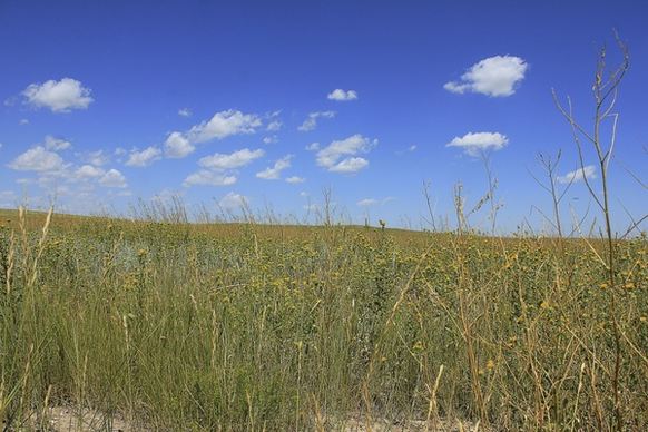 closer view of the grass at panorama point nebraska