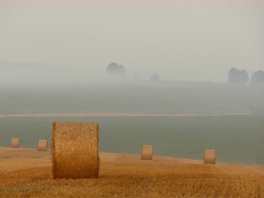 cloud farm field fog hay landscape mist rural