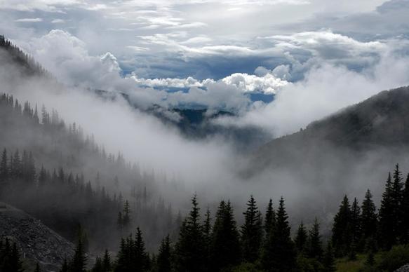 cloud fog forest hill landscape mist mountain rural