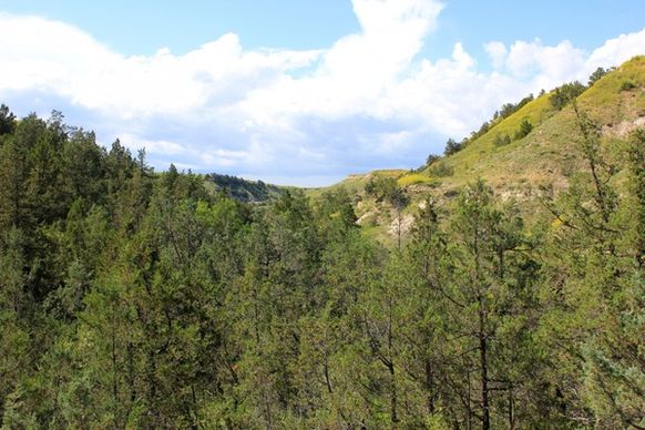 clouds over the forest at theodore roosevelt national park north dakota