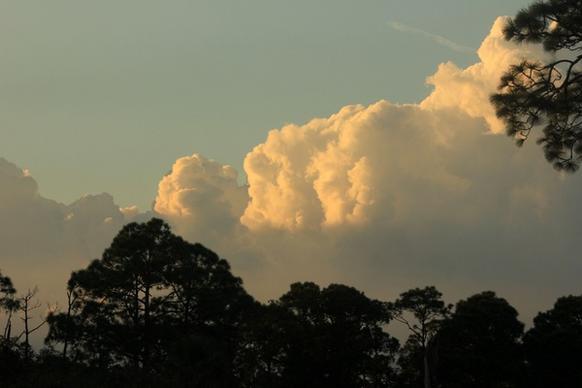 clouds over trees at st sebastion river state park florida
