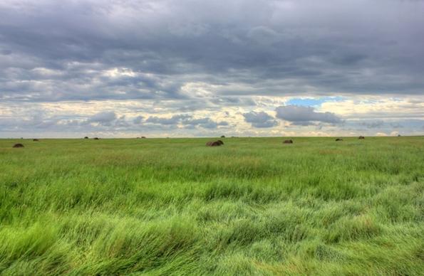 cloudy day on the fields at white butte north dakota
