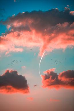 cloudy sky picture contrast twilight flying birds