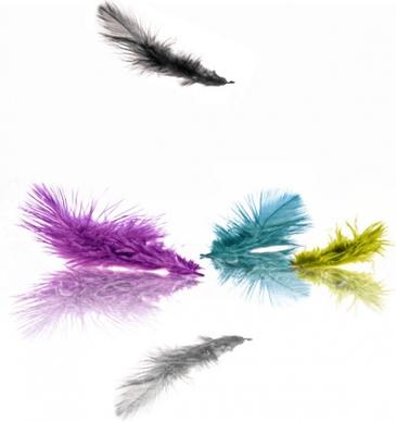 cmyk color feathers highdefinition picture