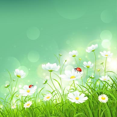 coccinella and white flower shiny background vector