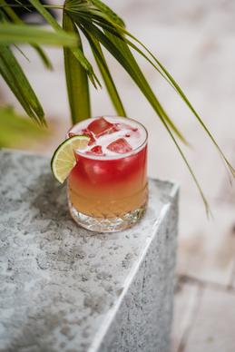 cocktail drink picture elegant closeup 