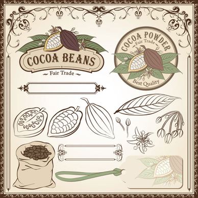 cocoa beans elements of labels and pattern borders vector