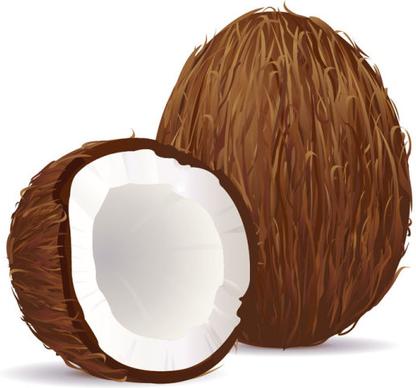 coconut design elements vector graphic