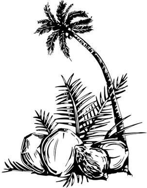 coconut tree vector