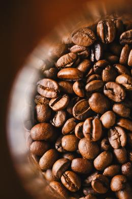 coffee background picture dark contrast beans