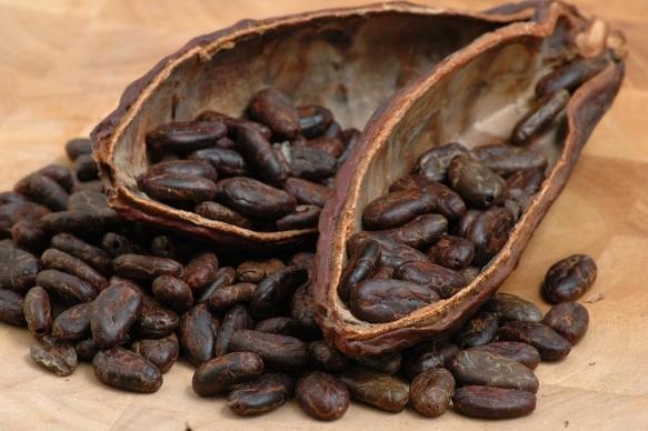 coffee beans fruit hd picture 2