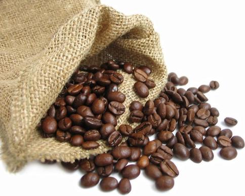 coffee beans hd picture 1