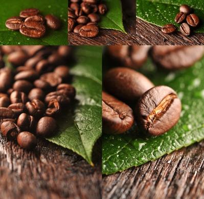 coffee beans highdefinition picture