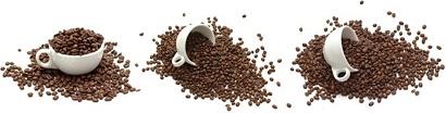 coffee beans picture 2
