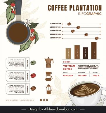 coffee infographic template elegant classical cup flowers chart