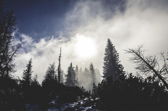 cold conifer evergreen fog forest lake landscape
