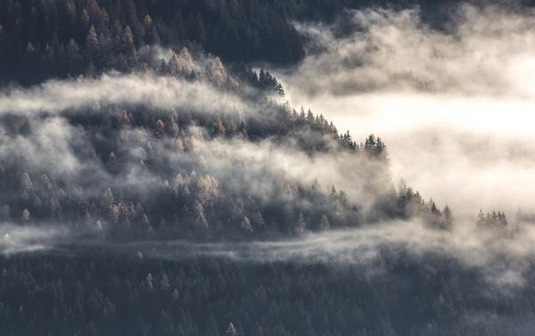 cold daytime environment fog forest lake landscape