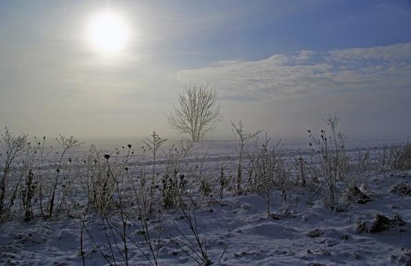 cold environment fog frost frozen ice landscape