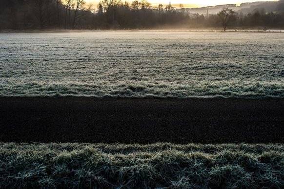 cold field fog forest frost grass mist park path