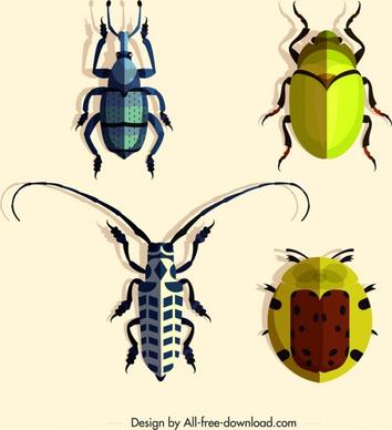 coleopterous insects icons colorful bugs design