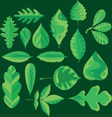 collection of various leaves