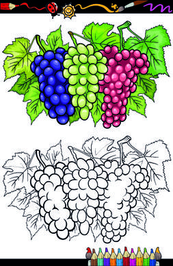 color with sketch fruit and vegetables vector