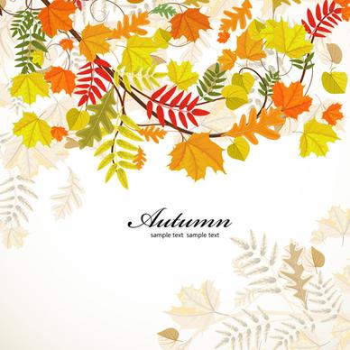colored autumn leaves backgrounds vector