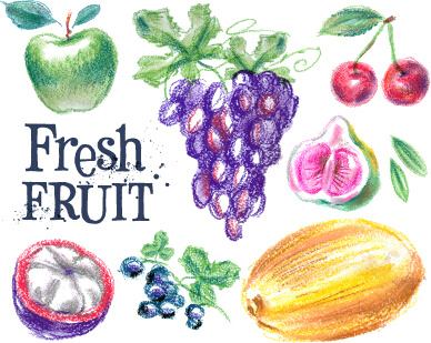 colored drawn fruits vectors