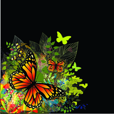 colorful butterflies design vector